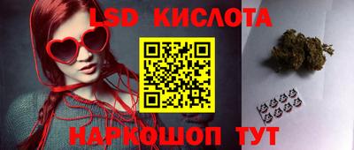 стафф Бердск