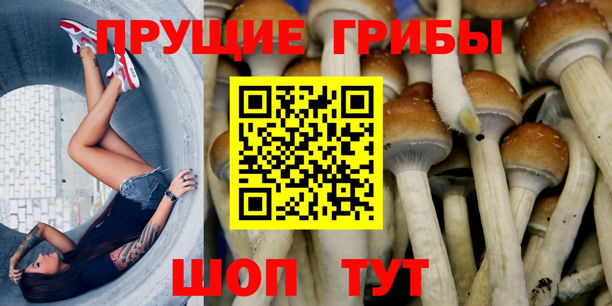 Галлюциногенные грибы Magic Shrooms Павлово
