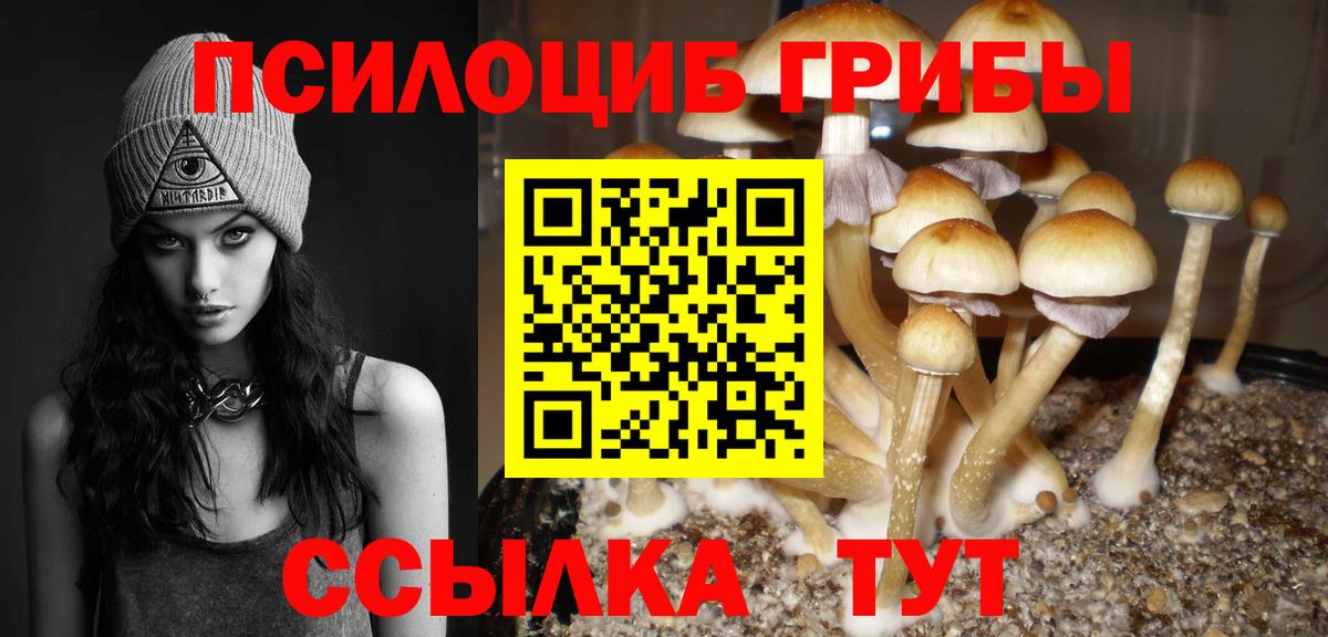 Галлюциногенные грибы прущие грибы  Вход с VPN  Павлово 